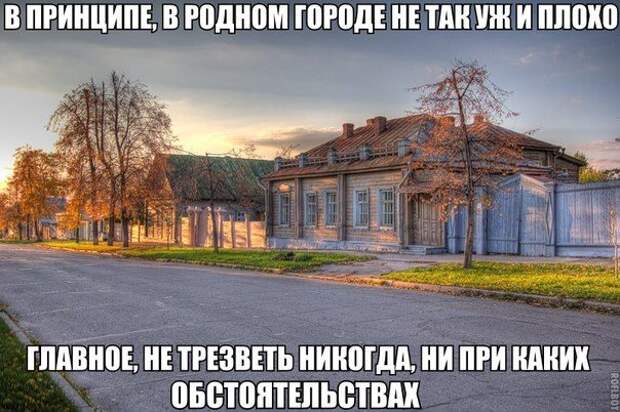 Фразы в картинках. Отличные приколы!
