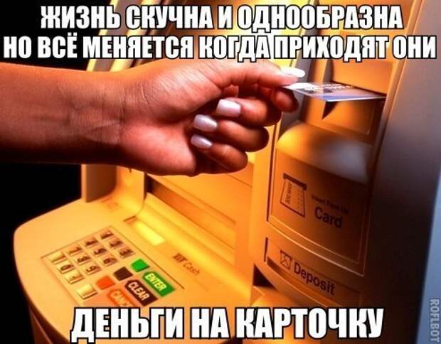 Смешные картинки с подписями катинки, прикол, юмор