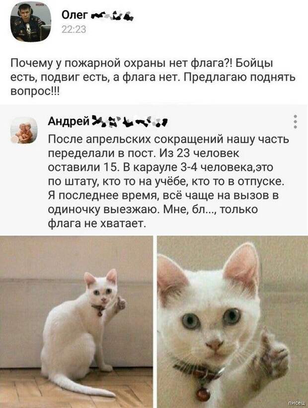 100% приколюхи, от которых болит живот
