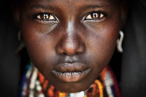 Arbore plemeni
