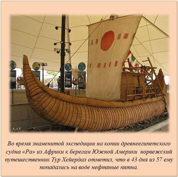 Интересные факты обо всём на свете Интересные факты обо всём на свете