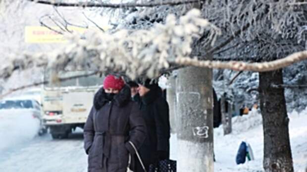 В Барнаул пришли лютые морозы / Фото: Екатерина Смолихина, amic.ru