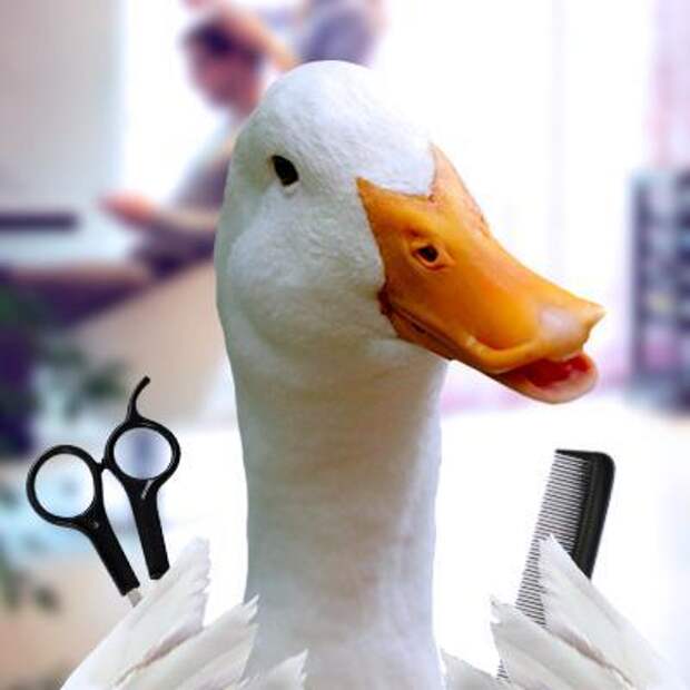 Aflac