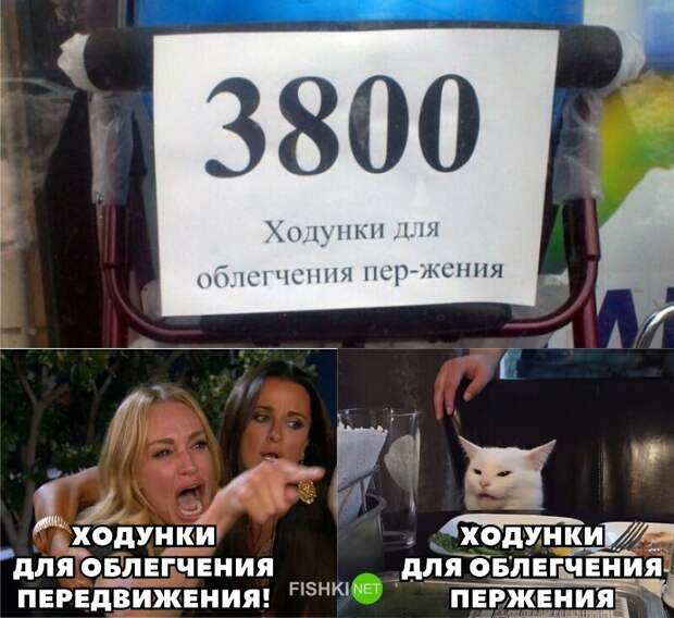 И снова всё опровергающий котик И снова всё опровергающий котик