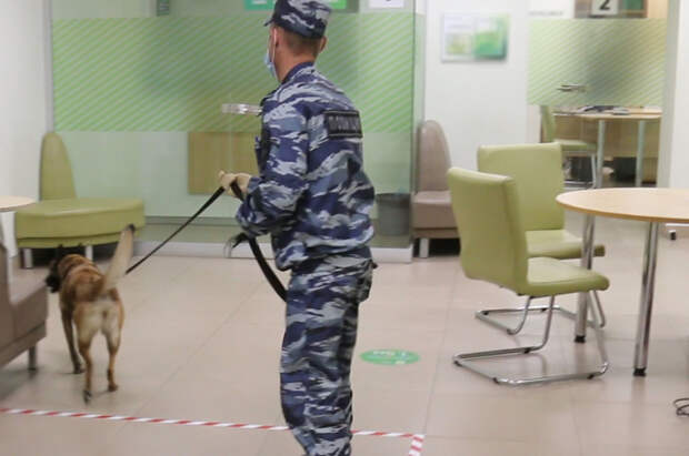 Подросток из Омска 21 раз «терроризировал» тюменские школы