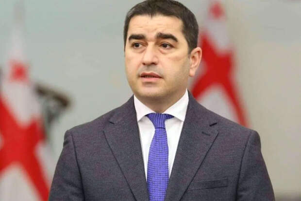 Депутат Папуашвили обвинил зарубежные страны в потворствовании радикализму