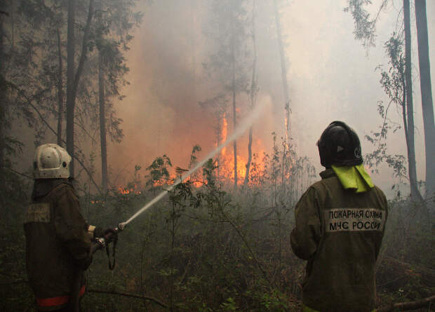 Режим самоизоляции сократил количество лесных пожаров в Центральной России на 75 процентов