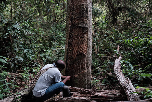 Амазонская фабрика любви: Фоторепортаж из единственного в мире этичного производства презервативов