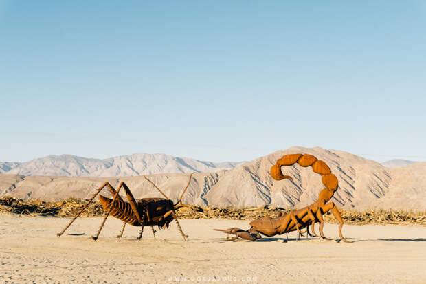 Anza-Borrego Springs-6.jpg