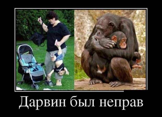 Демотиваторы (30 фото)
