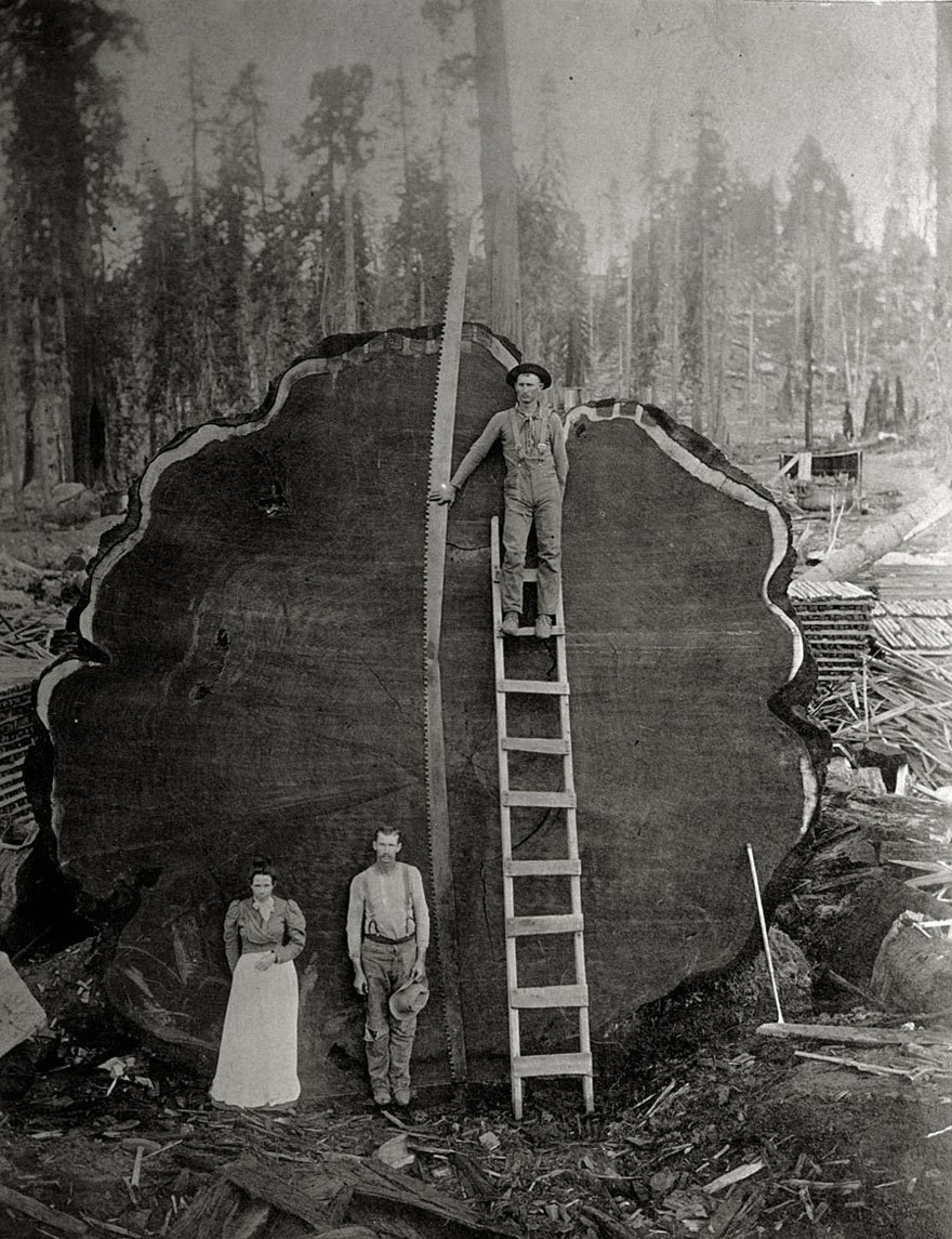 25 неопубликованных фотографий из архивов National Geographic