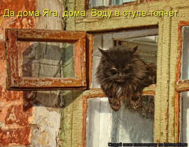 Котоматрица