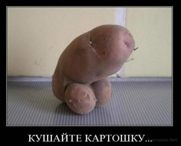 Подборочка смешных демотиваторов.