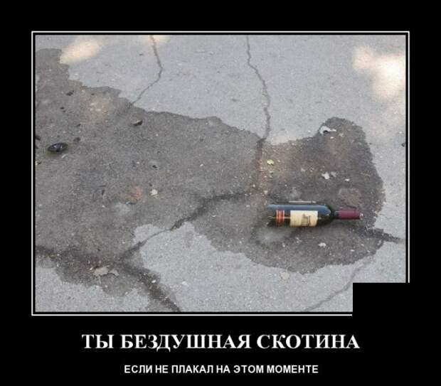 Демотиваторы (20 фото)