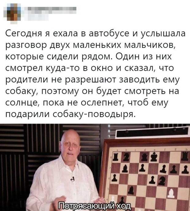 На что только не пойдёшь ради собаки