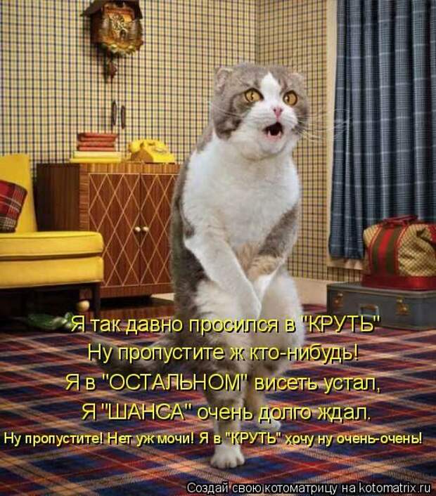 Лучшие котоматрицы недели