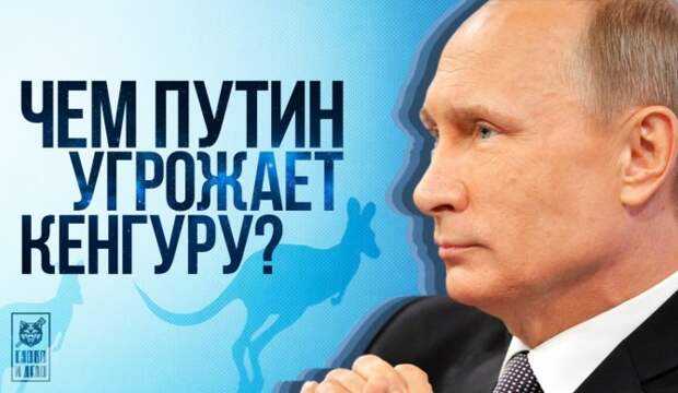Чем Путин угрожает кенгуру? Чем Путин угрожает кенгуру?