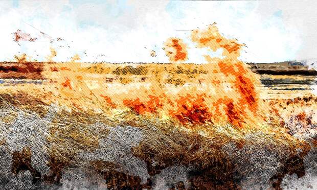 В Орловской области зафиксировали первый в этом году случай горения сухой травы