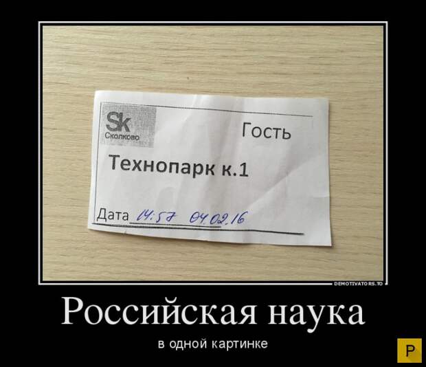 Зри в корень  (32 фото)