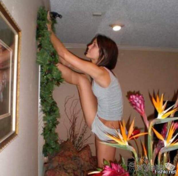 Про жену прикол, своими руками, сделай сам, юмор