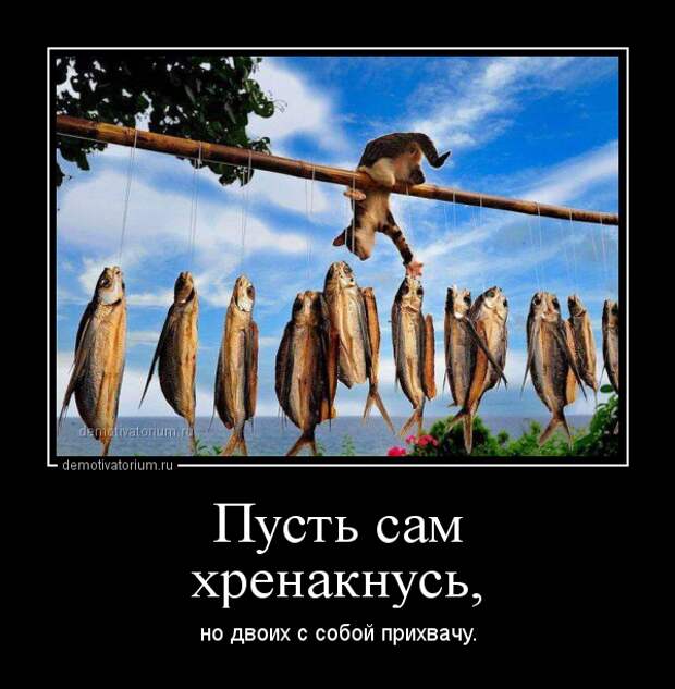 Забавная подборка смешных демотиваторов для пятничного настроения