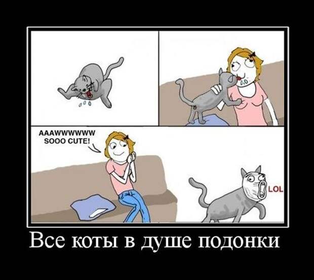 Демотиваторы (30 фото)