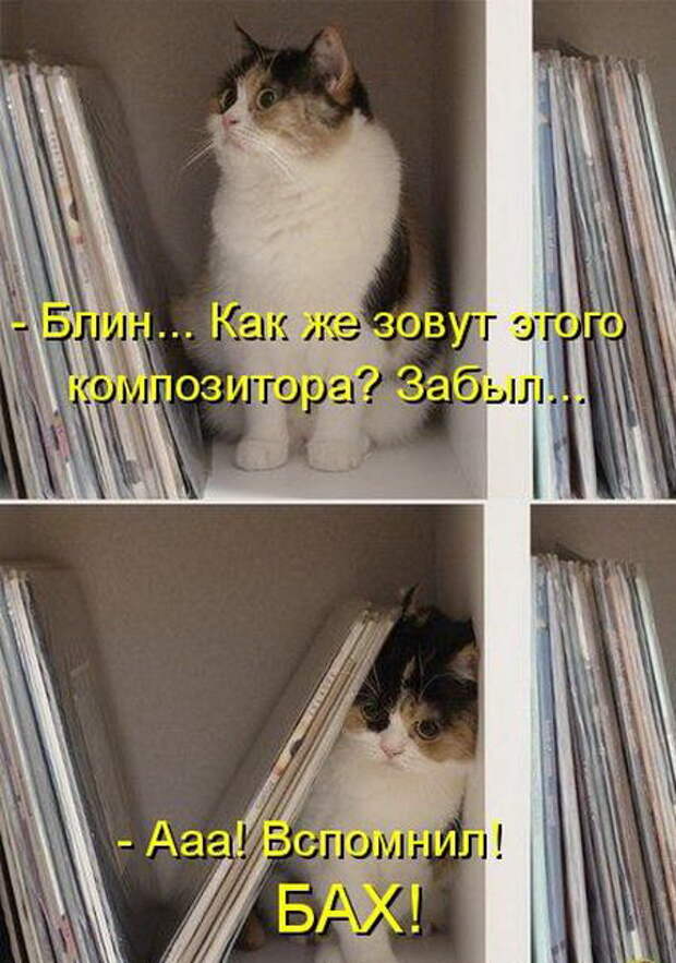 Лучшие котоматрицы недели (50 фото) Лучшие котоматрицы недели (50 фото)