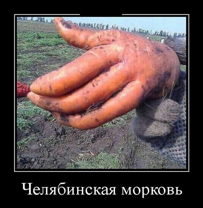 Суровые челябинские приколы. Новое