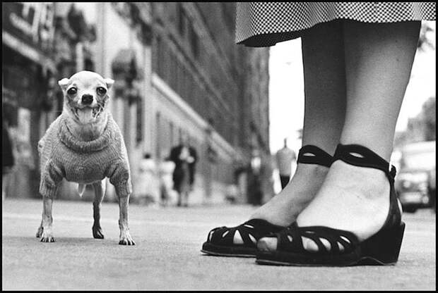 Эллиот Эрвитт - Нью-Йорк 1946 Весь Мир в объективе, история, фотография