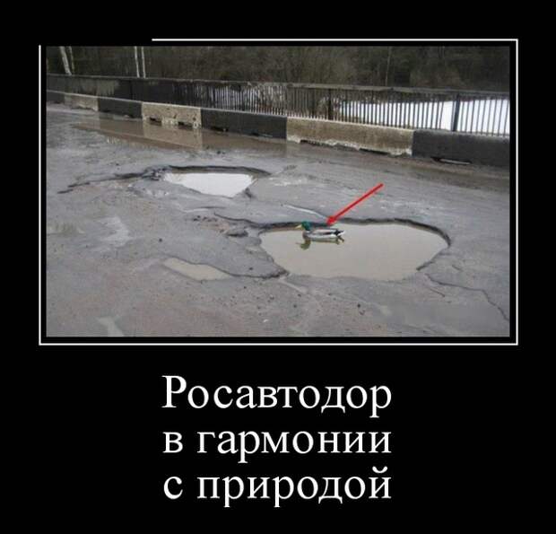 Демотиваторы (30 фото)
