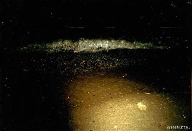 Азовское море ночью светится