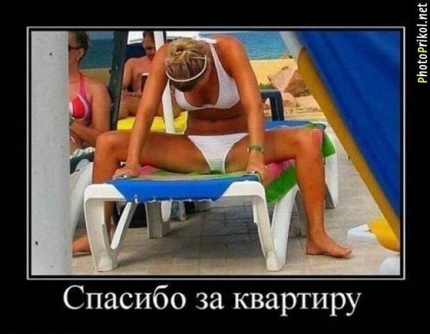 Смешные и прикольные демотиваторы (34 демотиватора) Смешные и прикольные демотиваторы (34 демотиватора)