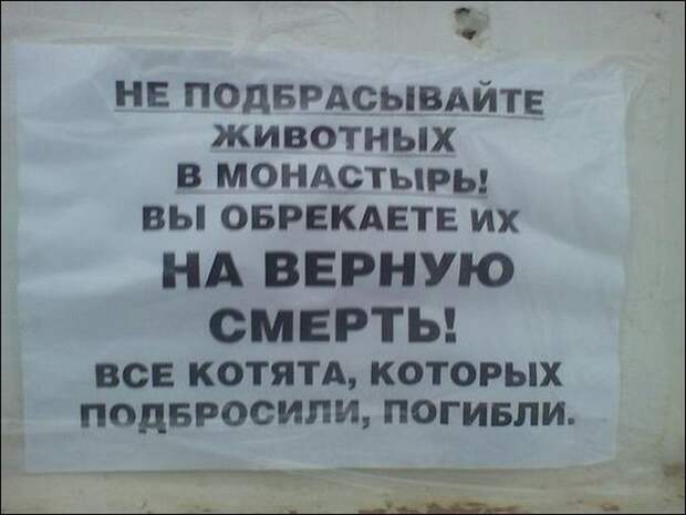 Забавные надписи и объявления надписи, объявления, смешно