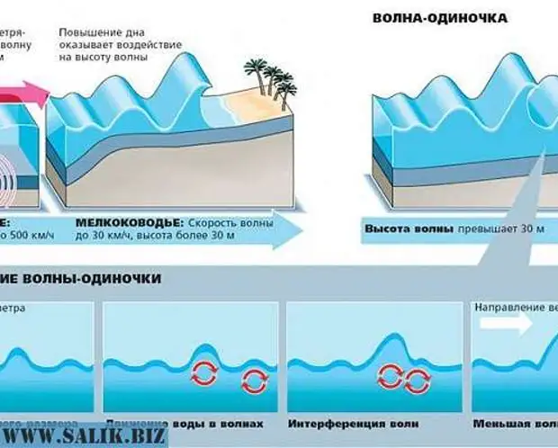 Цунами схема возникновения