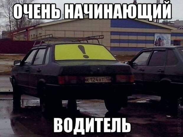 Смешные картинки с подписями  картинки, прикол, юмор