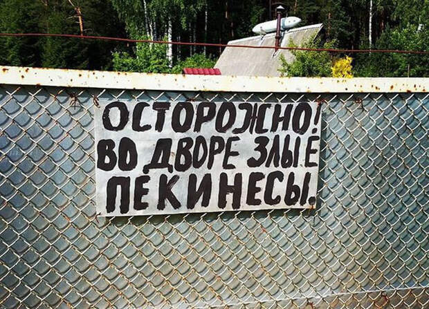 Звучит убедительно: 20 остроумных табличек собака, табличка, юмор