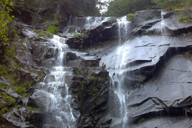 Туристы прошли по следу из крови и спасли раненую женщину