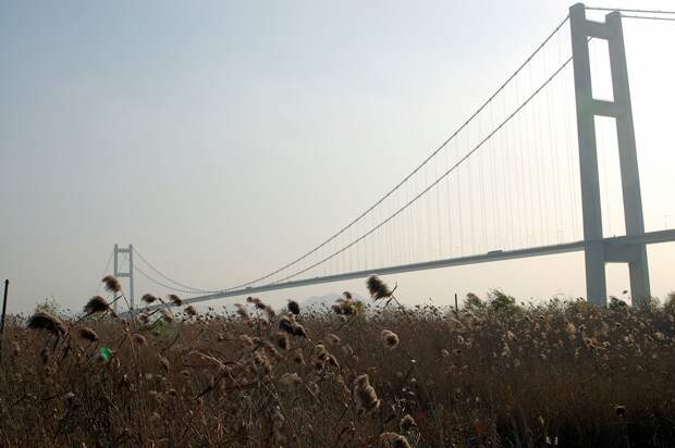flyingbridges07 Топ 10 самых длинных висячих мостов в мире