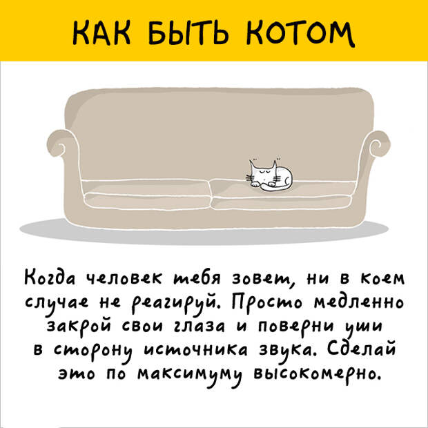 как правильно быть котом