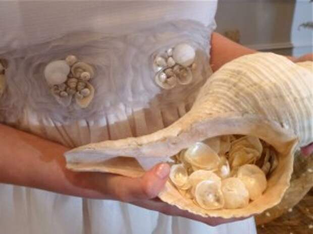 brides-maid-dress-with-seashell-300x225 (300x225, 18Kb)