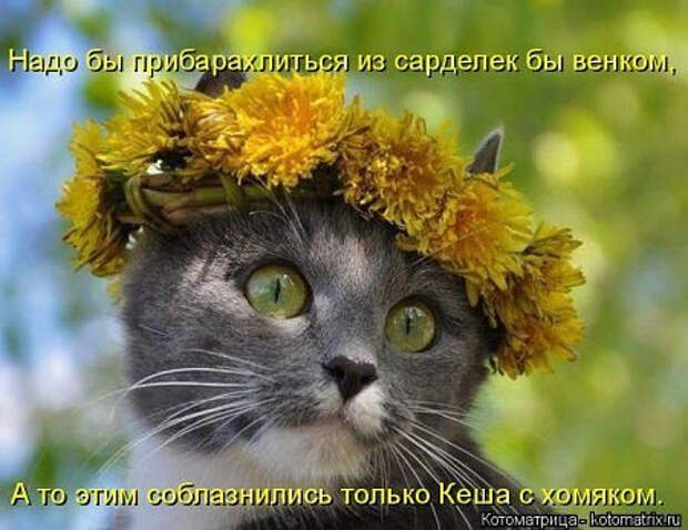 image (450x347, 164Kb)