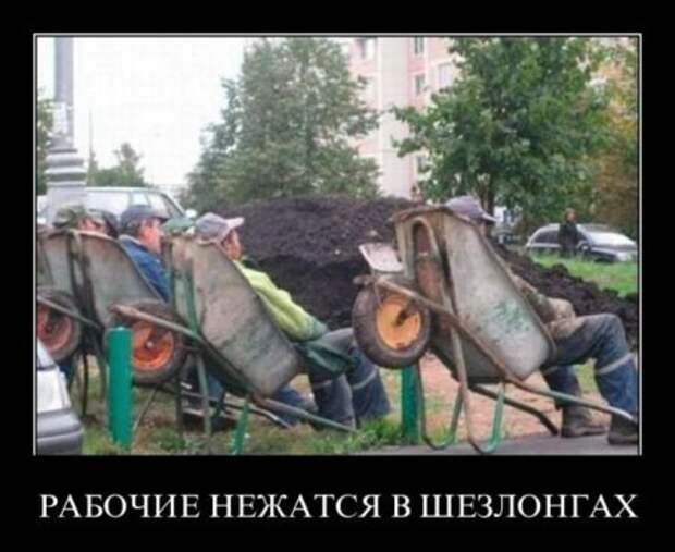 Не просто демотиваторы, а только лучшие каждый день, для вас!