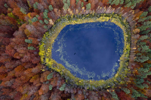 великолепные краски осени 