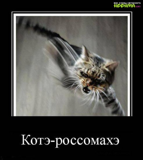 Действительно качественные демотиваторы