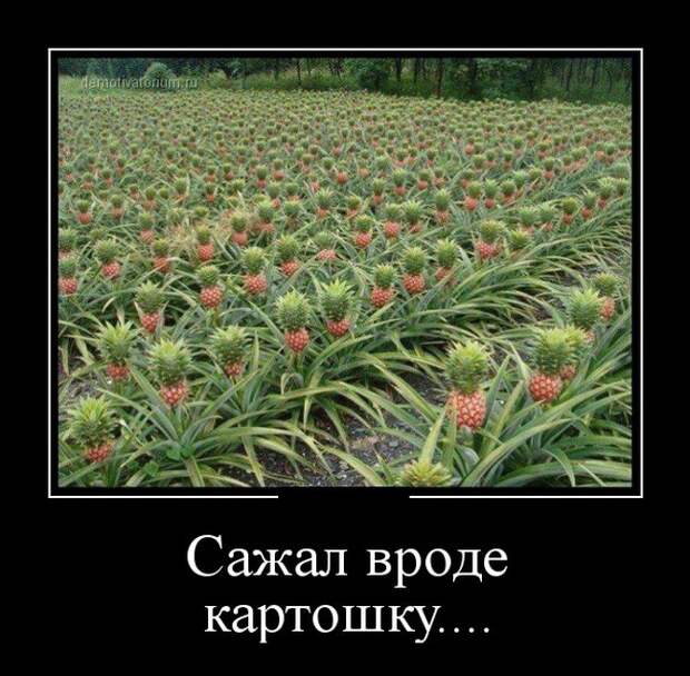 27 демотиваторов дня от 26-02-2015