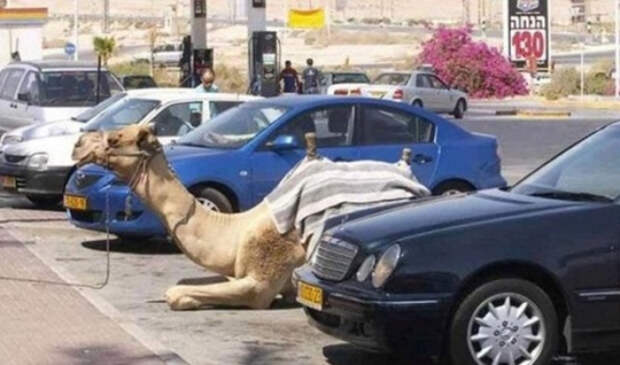 роскошные фотографии Дубая