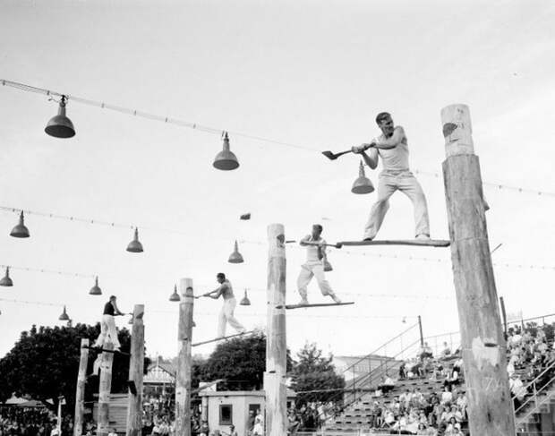 Соревнование дровосеков в Сиднее. Австралия, 1957 год. история, ретро, фото