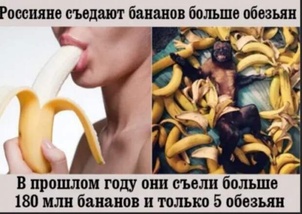 bredzona-kartinki-smeshnye-kartinki-fotoprikoly