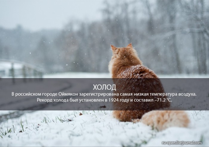 Удивительные факты о России россия, факты
