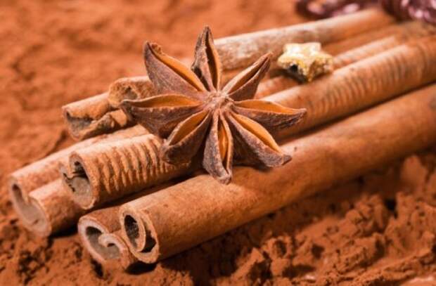 Cinnamon bundled, with anise star on a brown cocoa background